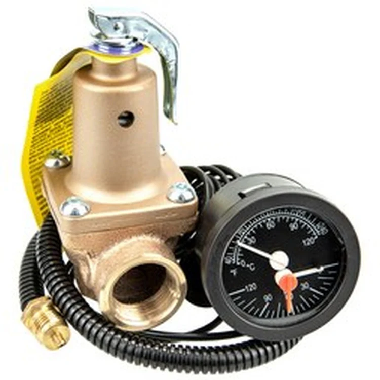 383600065 | Relief Valve 3/4 Inch 80 Pounds per Square Inch 250 Degrees Fahrenheit | Not Selected