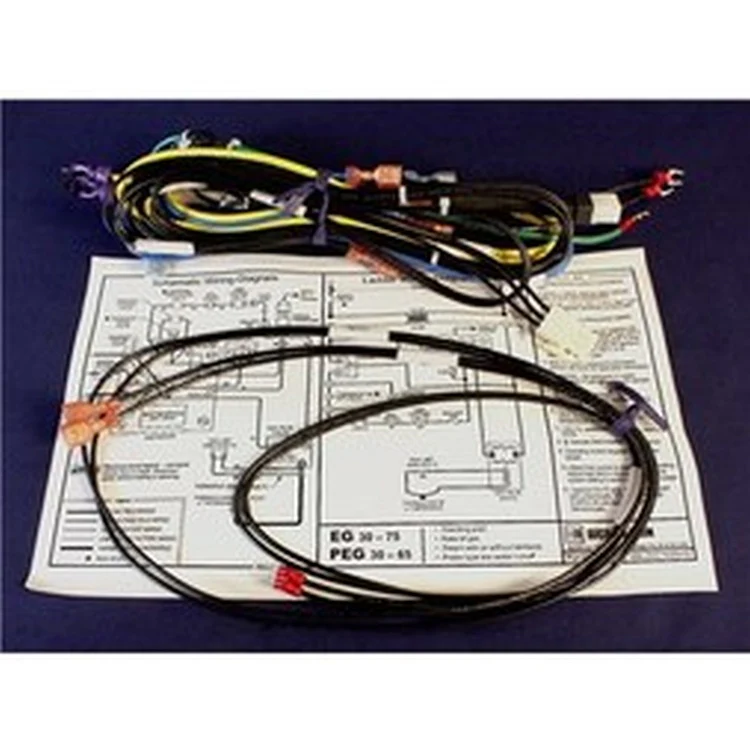 540130958 | Wiring Harness for EG Series 4 Steam Boiler Low Water Cut Off Only | Not Selected