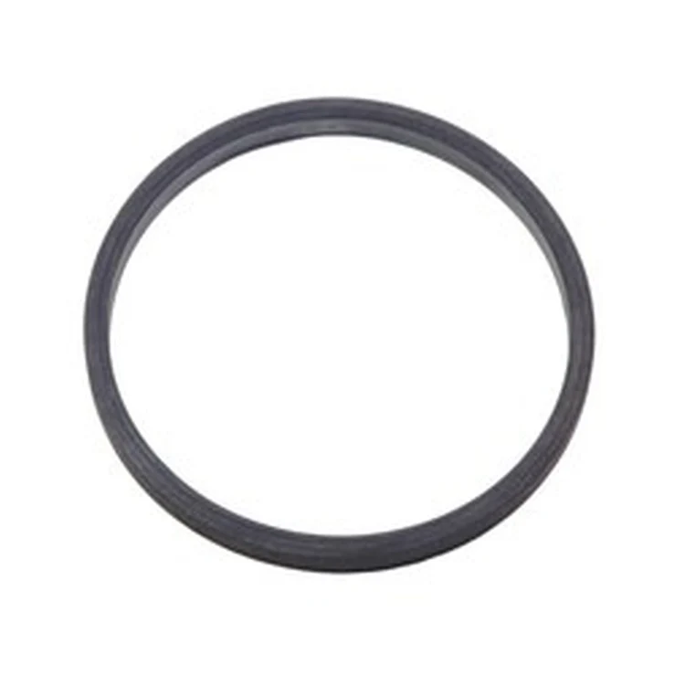 605-10231-30-00 | Gasket Element for VR200-VR250 | Bradford White
