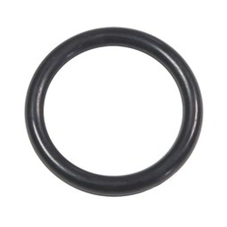 M10B-1-24 | O-Ring Kit for REU3237FFU Water Heater | Rinnai