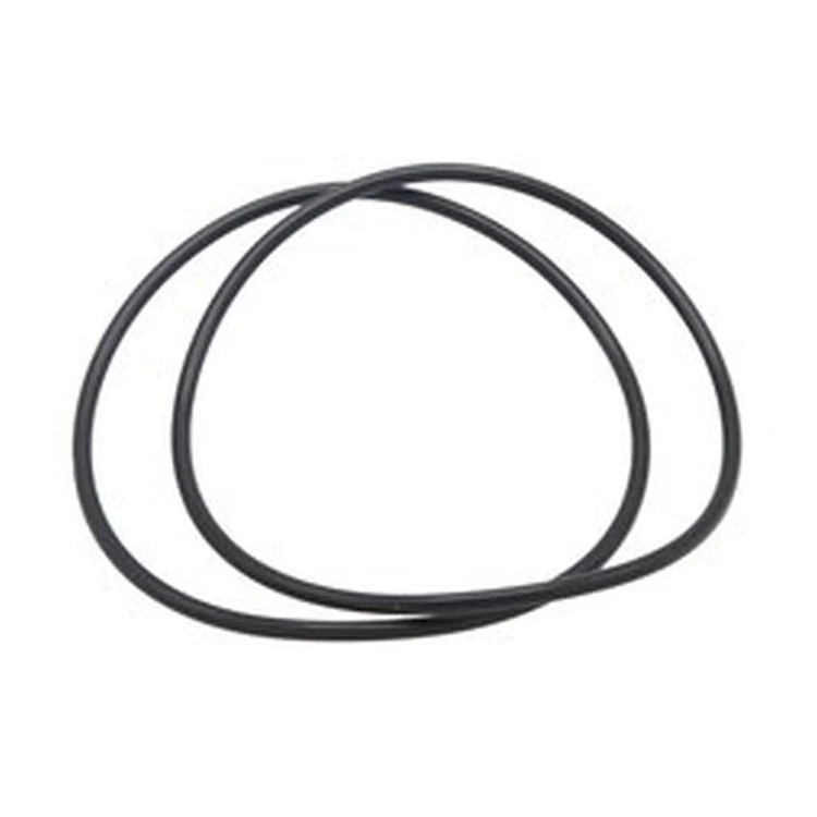 RS2105200 | O-Ring Venturi NT399-500 2PK | Laars