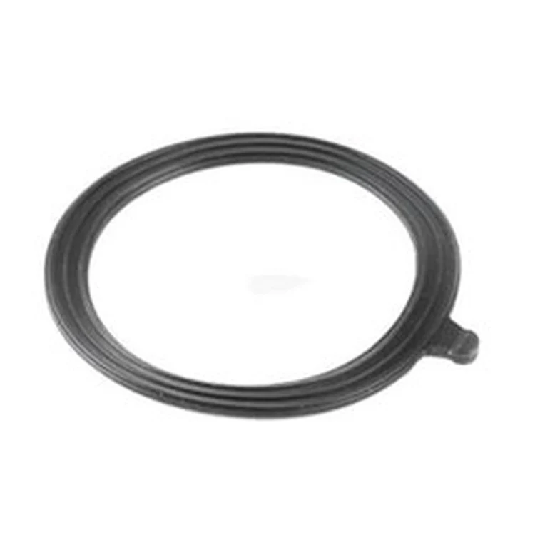 RS2113000 | Burner Gasket NT 750-1700 | Laars