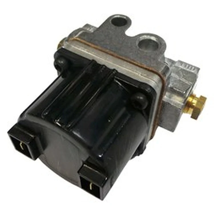 W0019300 | Solenoid for Gas Valve Only | Laars